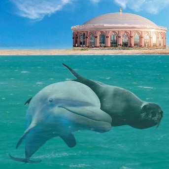 Marine Animals Habitat